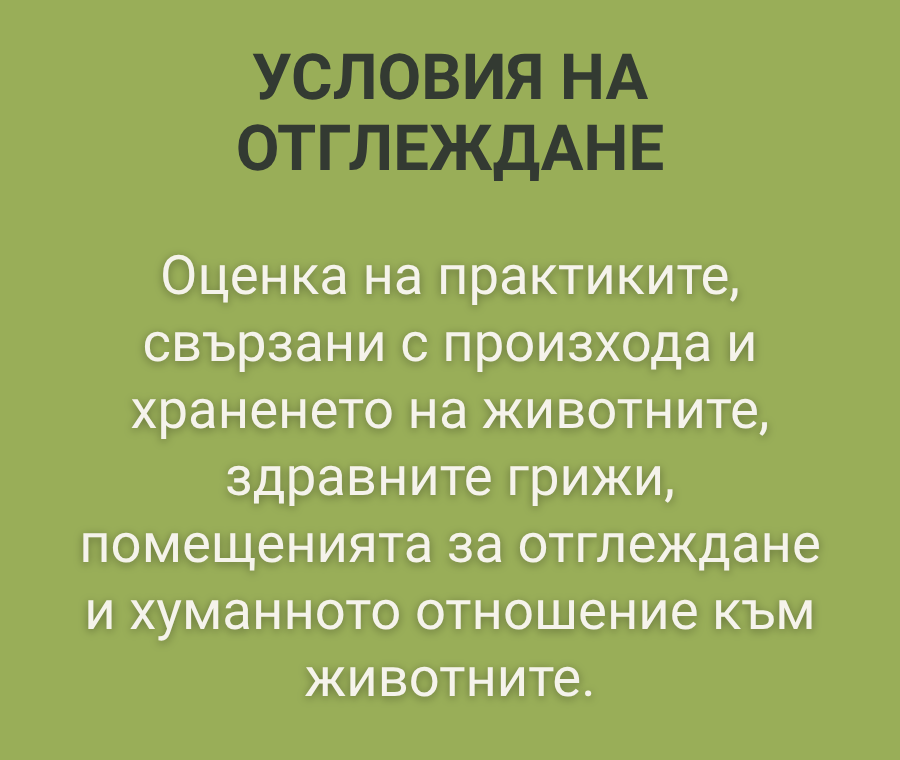Биологично животновъдство